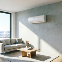 Climatiseur solaire split 48V DC AC, R410A, pompe, batterie, onduleur, télécommande, compresseur, moteur à faible bruit