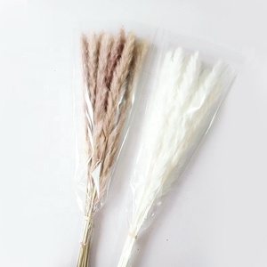 ZS002 Vente en gros d'herbe de la pampa naturelle séchée à longues tiges, style nordique, blanc et marron, <span class=keywords><strong>pour</strong></span> arrangement de <span class=keywords><strong>vase</strong></span> et décoration - Product Image 3