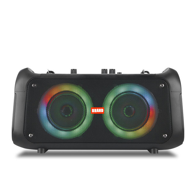 Dual 4 Inch Drivers 20W High Power Outdoor Karaoke Audio With Microphone Portable Wireless Speaker