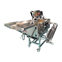 Ligne de production d'œufs liquides stable / Machine de pasteurisation d'œufs liquides / Machine de remplissage d'œufs liquides