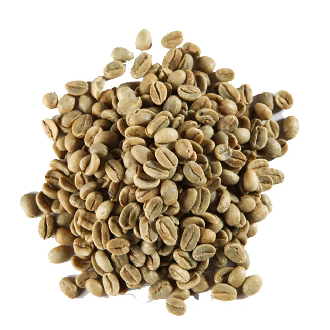 Top Selling Roasted Robusta Coffee Bean with High Quality Coffee Beans Wholesale Cheap Price From India