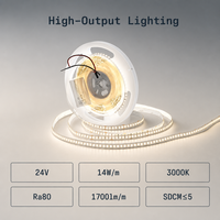 Lampu LED Strip Grosir 24V 2835 156LEDs/m 10mm 3000K Putih Hangat Ra80 IP20 5m Per Roll Dapat Diredupkan dengan Remote Kontrol Langsung dari Pabrik