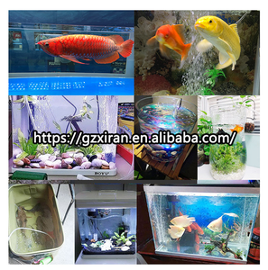 Fabriek Directe Verkoop Aquarium Zuurstof Pomp Usb Emergency Zuurstof Pomp Voor Outdoor Vissen - Product Image 6