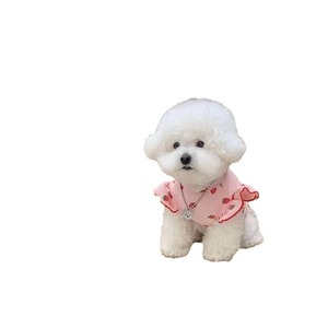 Gilet en forme de fraise pour petits chiens et chatons, vêtements respirants pour animaux de compagnie, blanc et rose - Product Image 5