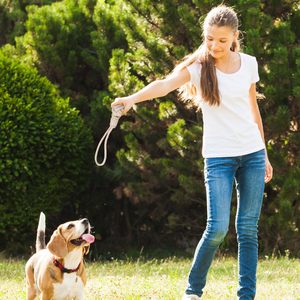 Ensemble de jouets à mâcher pour chien en corde de chanvre naturelle écologique avec corde en coton durable - Product Image 4