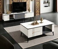 Meubles de maison, nouveau design, meuble TV en MDF et table basse avec rangement, vente en gros, excellent meuble TV moderne de luxe sur mesure