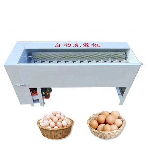 SUS304 Egg Washing Machine Single Lane Egg Cleaner Commercial Grade Stainless Steel Egg Processing Equipment - Product Image 5