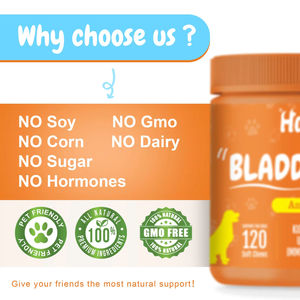 Venta al por mayor de botellas Omega 3 Eye Health Pet, suplemento de visión para perros diabéticos, proveedor OEM para suplemento para mascotas - Product Image 2