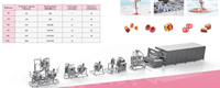 Ligne de production de bonbons gélifiés, équipement de glaçage au chocolat pour usine de confiserie