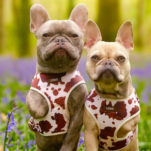 Fesyen pola Denim kustom untuk anjing ukuran kecil dan sedang tali kekang anjing peliharaan peliharaan anjing <span class=keywords><strong>Pitbull</strong></span> - Product Image 2