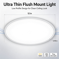 Plafonnier de placard ultra-plat 12 pouces 0,98 po 24W 1800LM 5000K lumière du jour Triac Dimmable 120V Certifié ETL