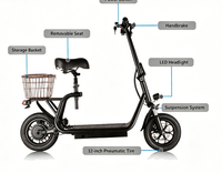 Trottinette électrique pour adultes avec support, type sit-on 16 pouces, 48V 10Ah, longue autonomie