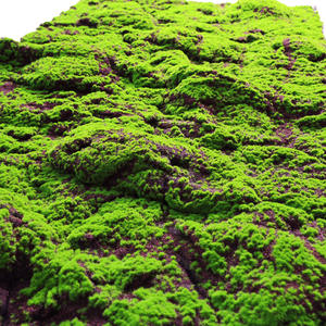 Panneau mural en <span class=keywords><strong>mousse</strong></span> enroulable, tapis de décoration pour patios, herbe artificielle, toile de fond, tapis de <span class=keywords><strong>lichen</strong></span>, gazon en <span class=keywords><strong>mousse</strong></span>, décoration murale en herbe verte - Product Image 2