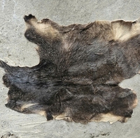 Kulit Sapi Asin Basahi yang Diawetkan dengan Garam, Tebal Seragam Dua Sisi 1.4-1.6mm, Bahan Kulit Sapi untuk Tas Tangan, Koper, dan Sepatu Berkualitas Tinggi