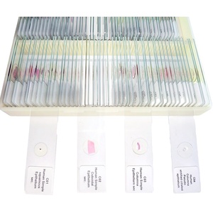 ชุดสไลด์ Histology ของมนุษย์100ชิ้นวัสดุแก้วและเรื่องอื่นๆ - Product Image 1