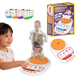 Base para el Modelo Humano de Exhibición que Explica <span class=keywords><strong>los</strong></span> Principios de la Educación Científica del Sonido con Pantalla Giratoria - Product Image 1