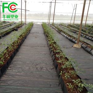 Landbouwplant Beschermer Onkruidmat Gebruikt Bij Drakenfruitboomgaarden Voor Bomen - Product Image 5