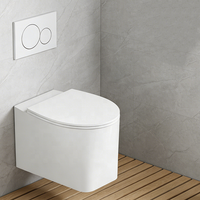 Ensemble WC suspendu en céramique de qualité hôtelière, style européen moderne, avec lavabo mural et siphon en P
