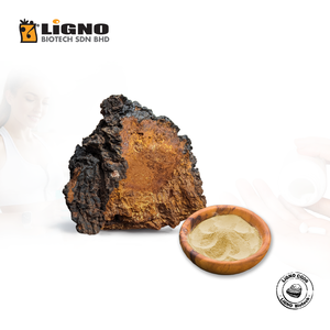 ผงเชื้อรา Chaga LiGNO CG06 จากซัพพลายเออร์ที่เชื่อถือได้ของมาเลเซีย เหมาะสำหรับใช้เป็นส่วนผสมเสริมอาหารสัตว์เลี้ยง - Product Image 1