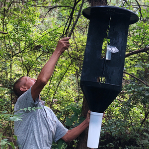 Thông Sawyer Bọ Cánh Cứng quan hệ tình dục Pheromone chéo bẫy nhựa côn trùng Catcher thu hút sản phẩm cấp bằng sáng chế cho khối lượng bẫy - Product Image 3
