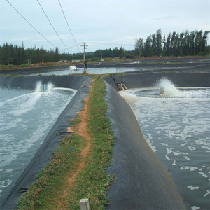 Không thấm nước <span class=keywords><strong>geomembrane</strong></span> nhựa geomembranes 20 mil HDPE lót <span class=keywords><strong>geomembrane</strong></span> giá - Product Image 3