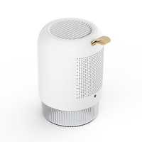 Mini déshumidificateur électrique d'intérieur, poignée de placard de maison 9v 600ML, ODM OEM Peltier