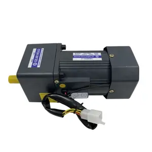 Motor de inducción de engranaje de velocidad variable ac, 60w, con controlador de velocidad digital 9.8N.m para máquina de aguanieve