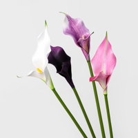 Fabrikverkauf: Künstliche Calla-Lilien mit Doppelblütenblättern im Großhandel, PU-Calla-Lilienstiele für Hotel-Tischdekoration, Floristik und Hochzeits-Mittelstücke