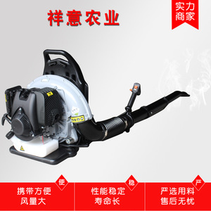 Soplador de Mochila Profesional a Gasolina con Velocidad de Aire de 210 mph para Eliminación de Nieve y Polvo y Uso en Extinción de Incendios - Product Image 5