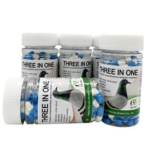 Kapsul Perlindungan Usus Probiotik Racing Pigeon Three In One - Product Image 6