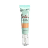 Fond de Teint Liquide Minéral Portable en Tube Souple Marque Privée Correcteur Maquillage Texture Douce pour la Peau Formule Longue Durée pour Tous