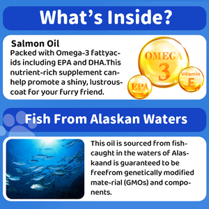 Huile de poisson EPA <span class=keywords><strong>DHA</strong></span> Oméga 3 Traitements pour chiens Entièrement naturel Soutien de la peau et du pelage Saumon sauvage pour la santé Complément alimentaire pour la santé des animaux de compagnie - Product Image 5
