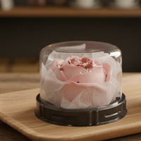 Boîtes à macarons en plastique transparent personnalisées, emballages jetables pour pâtisseries, présentoirs pour biscuits, emballages pour pain