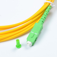 Cordon de raccordement fibre optique SFP monomode 10 Gb personnalisé FC/UPC-SC/APC SX OS2 3,0 mm 3 m POE TCP G652D