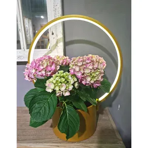 Nuovo prodotto moderno USB led luce casa giardino decorativo di lusso rotondo in metallo vaso di fiori artigianale