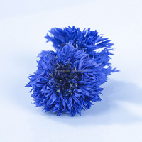 Rote und blaue Kornblumenblütenblätter, organisch, natürlich getrocknet, für Kuchendekoration, als Topping, für Kerzen, Hochzeitskonfetti