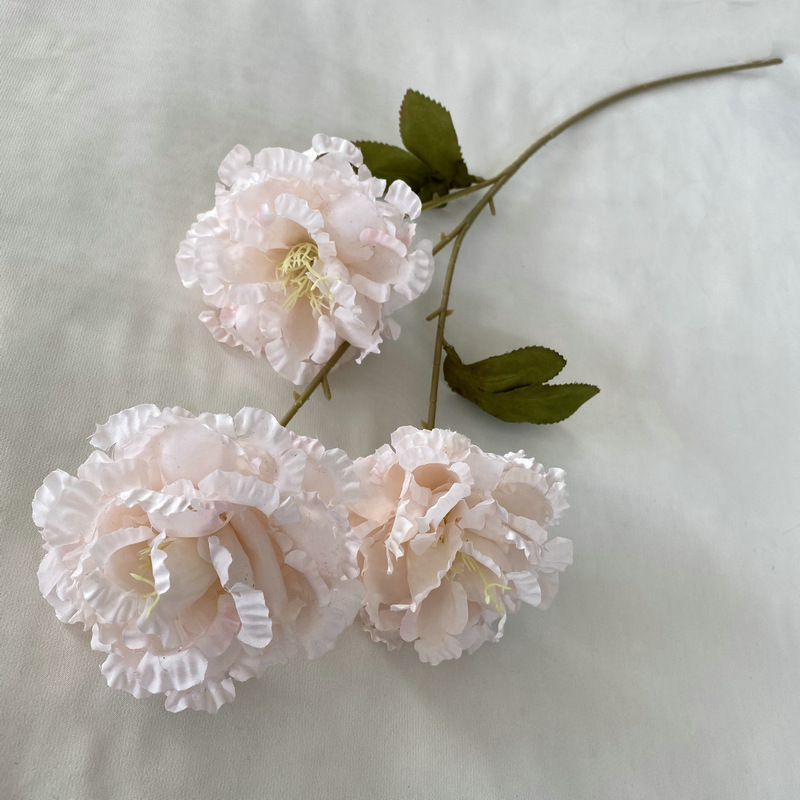 Edelweiss de 3 cabezas