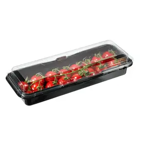 Wholesale Black Base Rectangle PET Plastic Container Disposable Square Fresh Tomato Fruit Packaging with Clear Lids Food Use