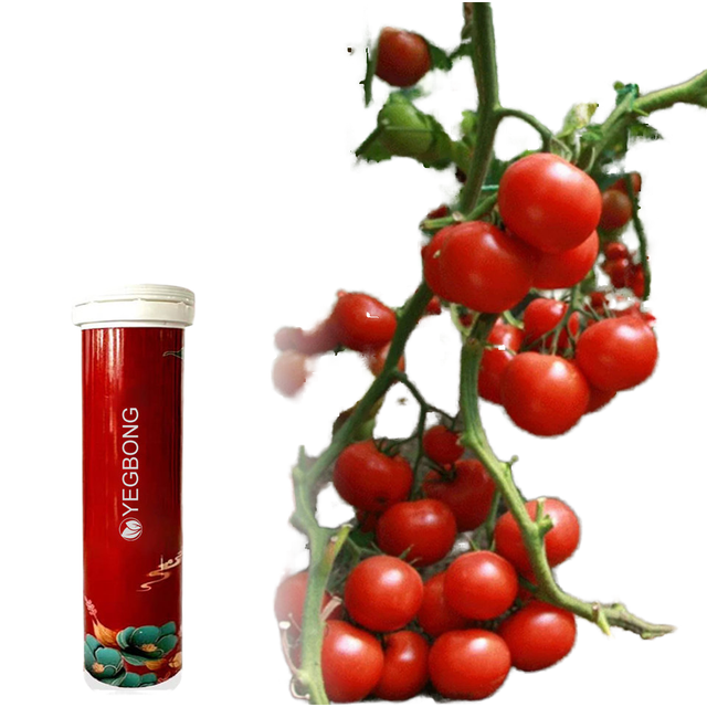Plant Growth Nutrient Slow-Release Tablet Organic Fertilizer for Stronger Roots & Healthier Plants