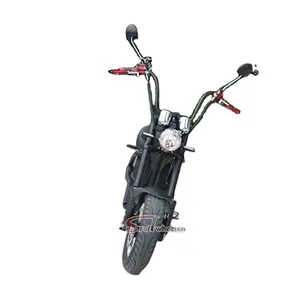 Stroll轮儿童 scootor citycoco 电动摩托车 1500W 60V 20Ah 可移动电池电动滑板车来自荷兰仓库