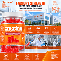 Gummies de créatine monohydrate en vrac, directement de l'usine OEM, pour hommes et femmes, 60 unités, favorise l'énergie et la récupération*, sans OGM, HALAL