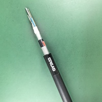 Cable de Fibra Óptica GYTA53 G652D para Exteriores, con Tubo Suelto, Blindado con Cinta de Aluminio, 12/24/48 Hilos, Revestimiento de PE Negro, Garantía de 5 Años