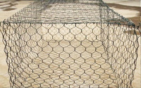 Prix d'usine Gabion noir revêtu de PVC, conception de boîte de gabion pour le Kenya