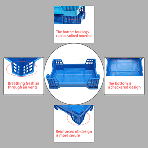 QS Tự Động Xếp Chồng Desacking Rửa Mealworm Nhựa PP Côn Trùng Sinh Sản Hộp 145Mm Bsf Côn Trùng Sinh Sản Khay - Product Image 6