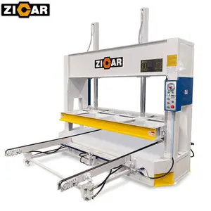 เครื่องกดแผ่นลามิเนตไฮดรอลิก zicar JY3248x50โซ่อัตโนมัติ