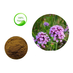 Poudre d'extrait de <span class=keywords><strong>verveine</strong></span> de haute qualité, extrait de <span class=keywords><strong>verveine</strong></span>, poudre de <span class=keywords><strong>verveine</strong></span> - Product Image 4
