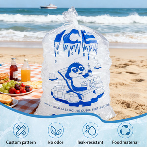 Dùng một lần tái sử dụng tùy chỉnh in rõ ràng 3LB 5lb 8lb 10LB 20lb 25lb LDPE nhựa ICE CUBE bao bì túi cho Ice Cube với dây đai - Product Image 2