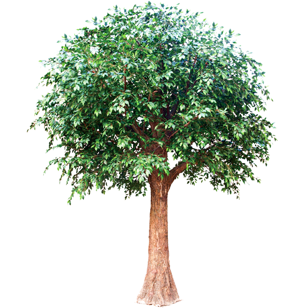 Mini ficus artificiels