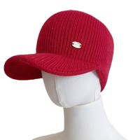 Ensemble 2 pièces bonnet tricoté et écharpe à capuche, casquette à visière incurvée, cache-cou coupe-vent chaud et pliable, automne-hiver pour femme