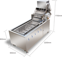 Automatische Gemberaardappel Fruitgroentewasmachine Data Reinigingsmachine Aardappelen Plantaardige Vortex Wasmachines